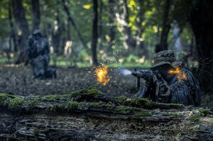 تمرین تخصصی رزم در جنگل توسط یگان ویژه فاتحین