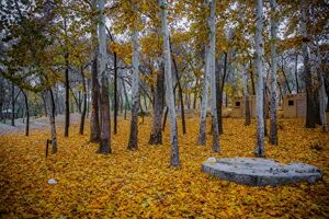 عکس / طبیعت پاییزی در پارک بابا امان بجنورد