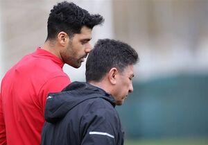 طارمی بیشتر از قلعه‌نویی برای تیم تصمیم می‌گیرد!