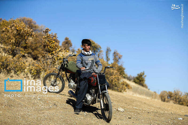 عکس / فوتبال زیر سایه درختان بلوط 21