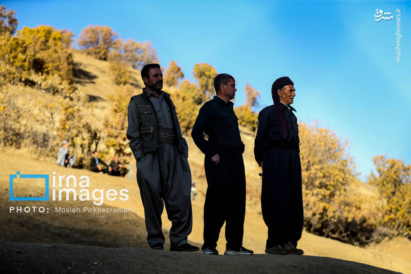 عکس / فوتبال زیر سایه درختان بلوط 20