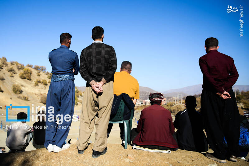 عکس / فوتبال زیر سایه درختان بلوط 18