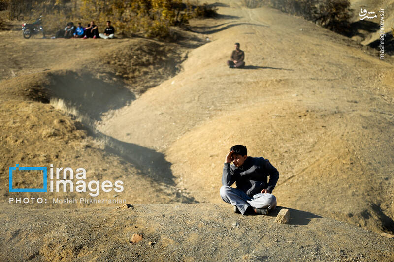 عکس / فوتبال زیر سایه درختان بلوط 16