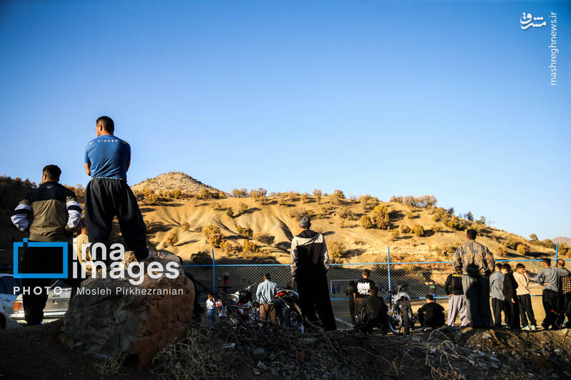 عکس / فوتبال زیر سایه درختان بلوط 14