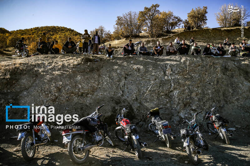 عکس / فوتبال زیر سایه درختان بلوط 7