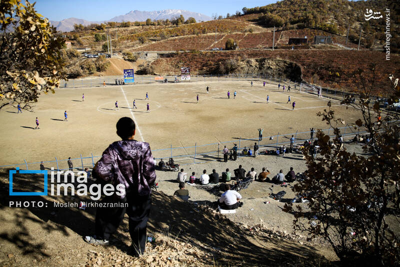 عکس / فوتبال زیر سایه درختان بلوط 6