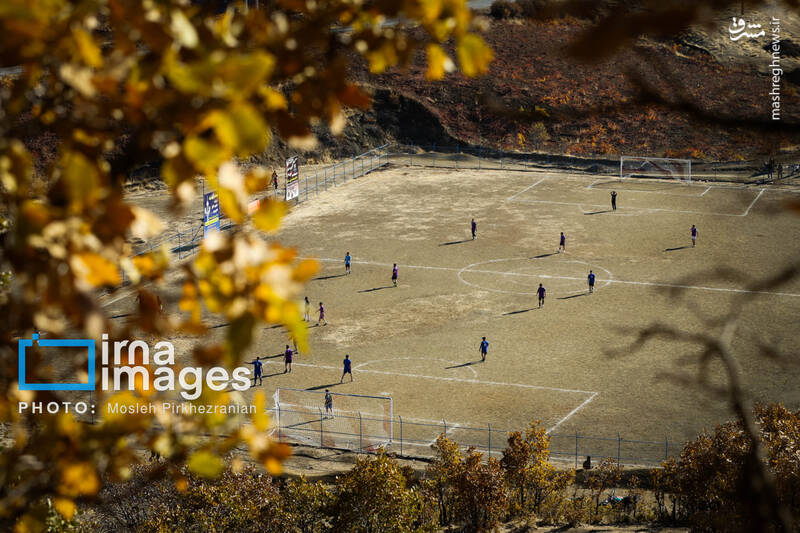 عکس / فوتبال زیر سایه درختان بلوط 5