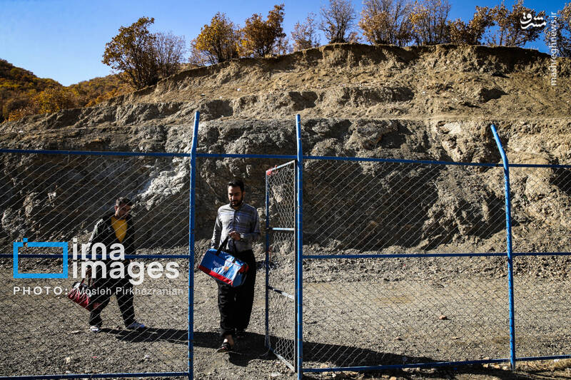 عکس / فوتبال زیر سایه درختان بلوط 4