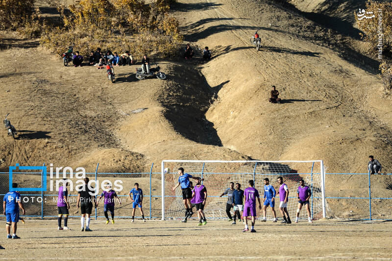 عکس / فوتبال زیر سایه درختان بلوط