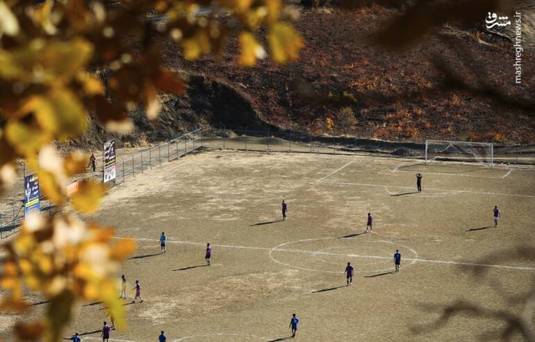 عکس/ فوتبال زیر سایه درختان بلوط