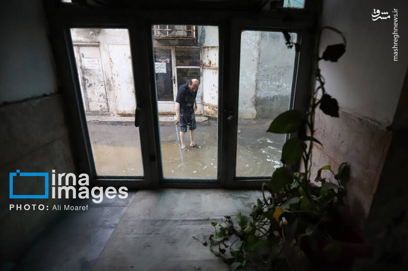 عکس / چاپخانه فرهنگ و نیم‌قرن خاطره روی کاغذ 38