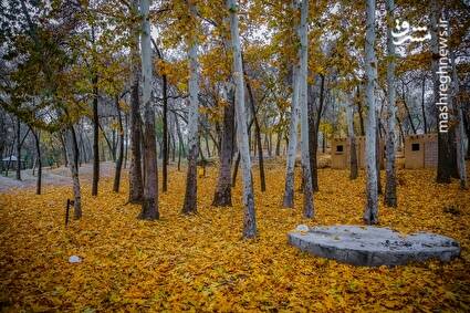 عکس/ طبیعت پاییزی در پارک بابا امان بجنورد