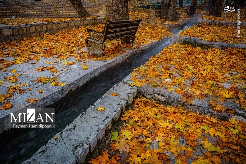 عکس / طبیعت پاییزی در پارک بابا امان بجنورد 21