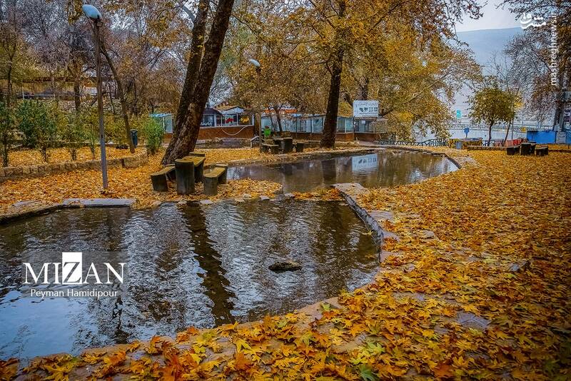 عکس / طبیعت پاییزی در پارک بابا امان بجنورد 20