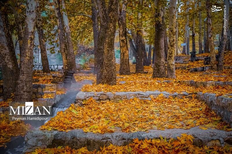 عکس / طبیعت پاییزی در پارک بابا امان بجنورد 14