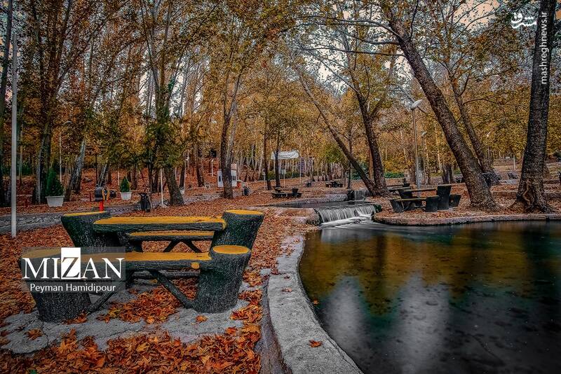 عکس / طبیعت پاییزی در پارک بابا امان بجنورد 13