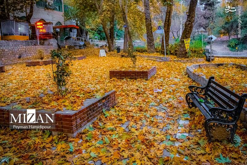 عکس / طبیعت پاییزی در پارک بابا امان بجنورد 12