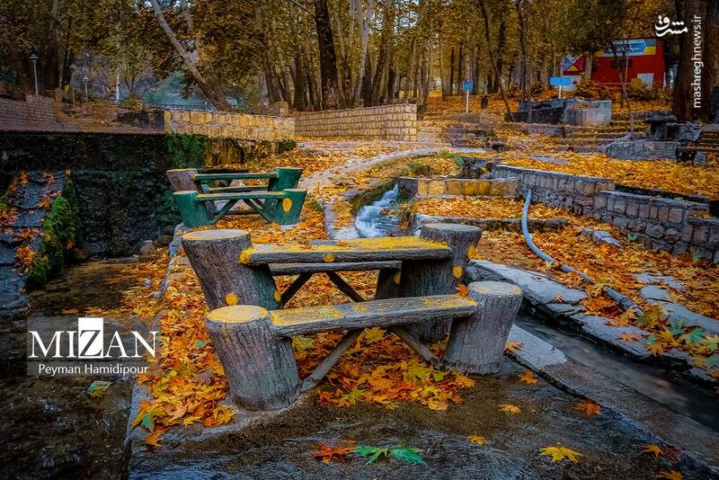 عکس / طبیعت پاییزی در پارک بابا امان بجنورد 11