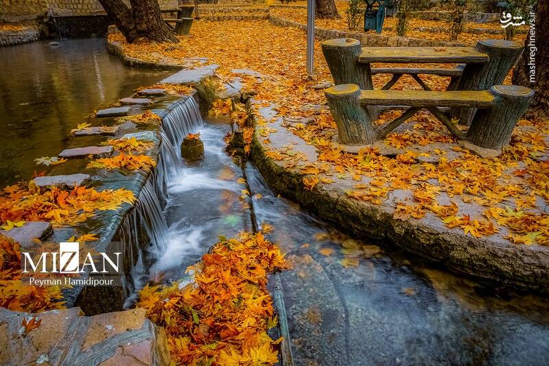 عکس / طبیعت پاییزی در پارک بابا امان بجنورد 9