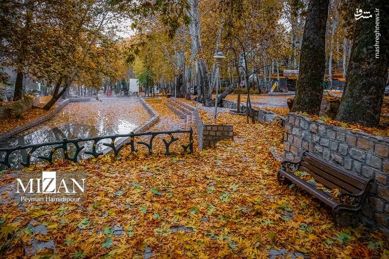 عکس / طبیعت پاییزی در پارک بابا امان بجنورد 6
