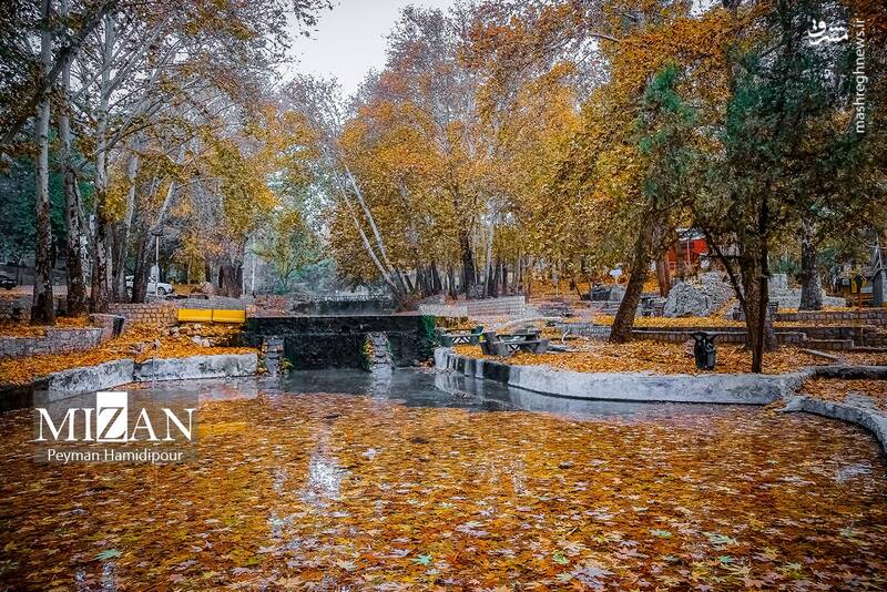 عکس / طبیعت پاییزی در پارک بابا امان بجنورد 5