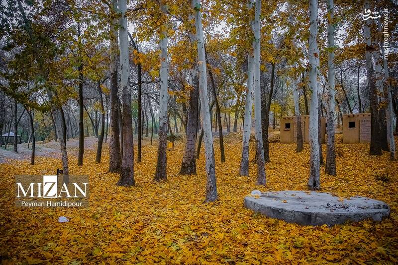 عکس / طبیعت پاییزی در پارک بابا امان بجنورد 4