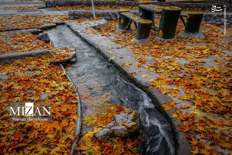 عکس / طبیعت پاییزی در پارک بابا امان بجنورد 3