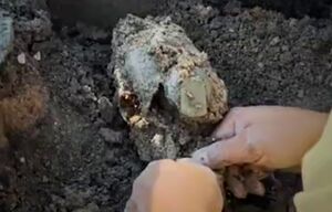 کشف پیکر مطهر شهیدی با قمقمه ای پر از آب