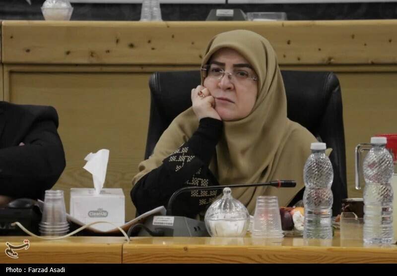 سخنگوی دولت: با طرح اصلاح قانون مهریه مخالفت کردیم/ طرفدار اینترنت آزاد برای همه هستیم