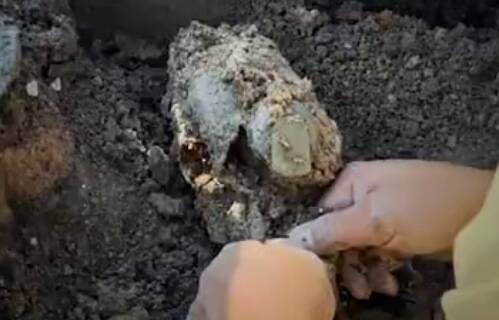 فیلم/ کشف پیکر مطهر شهیدی با قمقمه ای پر از آب