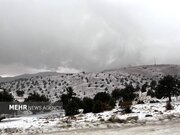 تصاویری از بارش برف در ارتفاعات شهر زنجان