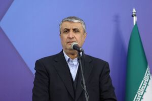 اسلامی: هیچ بازرسی از آژانس در ایران حضور ندارد