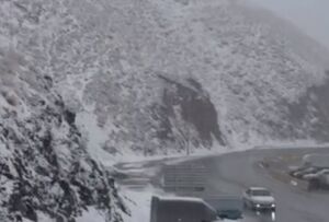 فیلم/ بارش برف در جاده چالوس