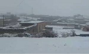 تصاویری از بارش برف در تکاب و سلماس