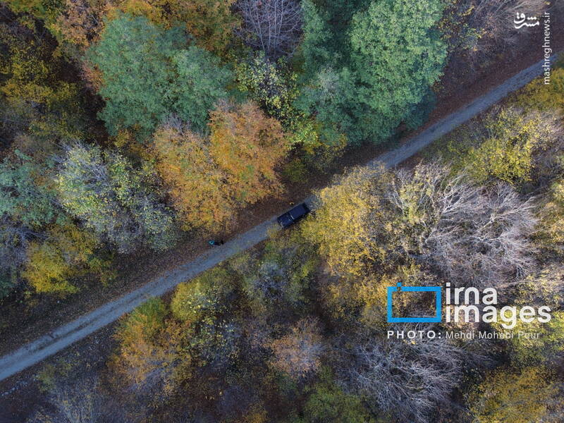 عکس / آخرین قدم‌های پاییز 41