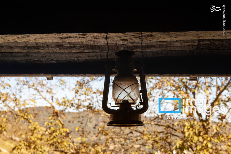 عکس / آخرین قدم‌های پاییز 39