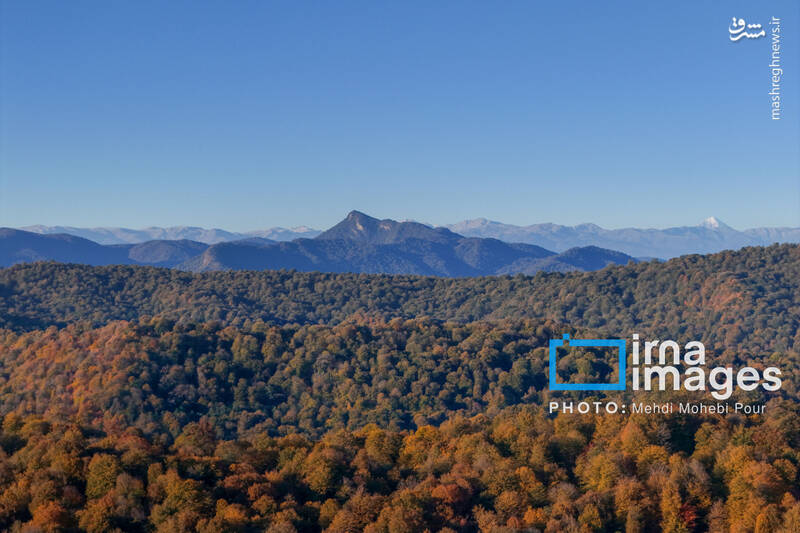 عکس / آخرین قدم‌های پاییز 37