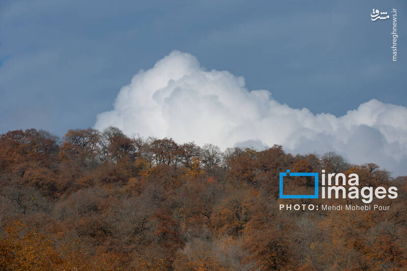 عکس / آخرین قدم‌های پاییز 36