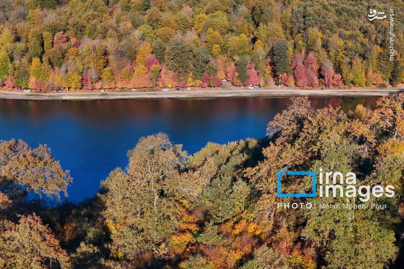 عکس / آخرین قدم‌های پاییز 35