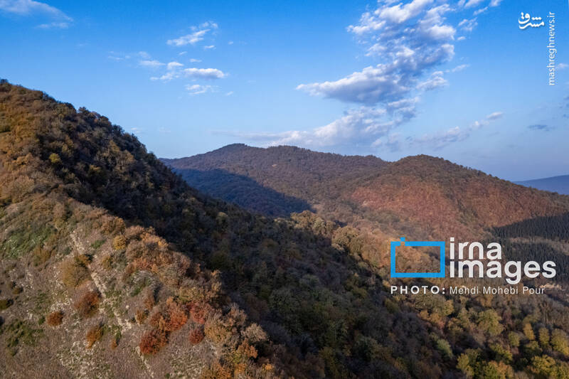 عکس / آخرین قدم‌های پاییز 30