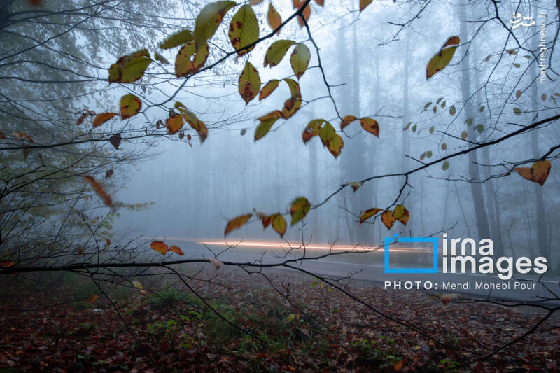 عکس / آخرین قدم‌های پاییز 27