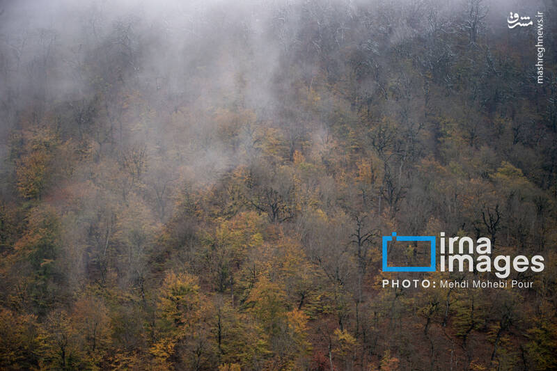 عکس / آخرین قدم‌های پاییز 26