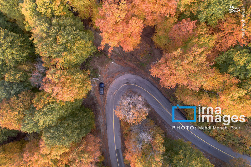 عکس / آخرین قدم‌های پاییز 24