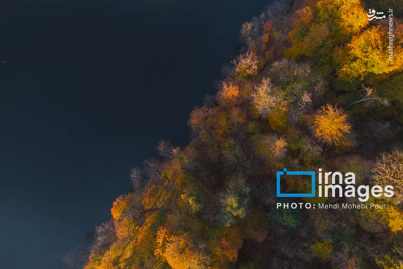 عکس / آخرین قدم‌های پاییز 22