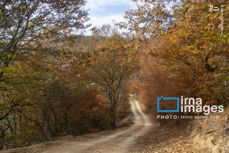 عکس / آخرین قدم‌های پاییز 13