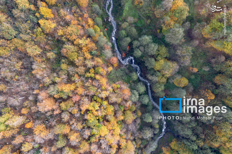 عکس / آخرین قدم‌های پاییز 10