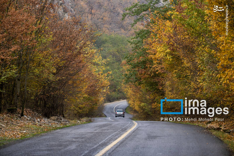 عکس / آخرین قدم‌های پاییز 6