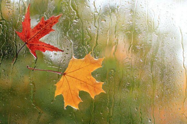 فیلم/ ترنم باران پاییزی در آسمان ایران