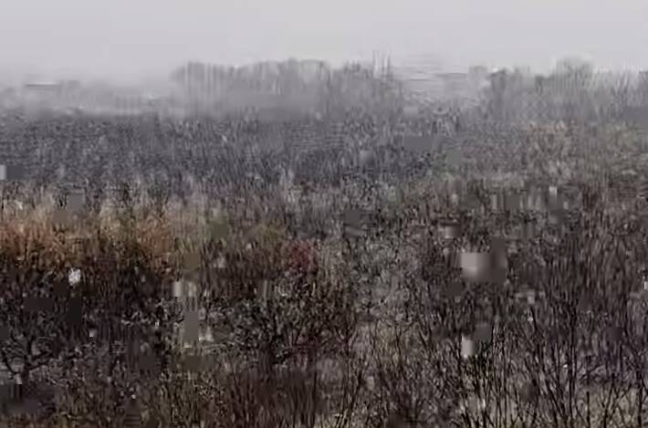 فیلم/ آغاز بارش برف در اشنویه