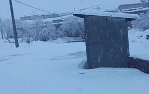 رخت سفید بر تن مهاباد